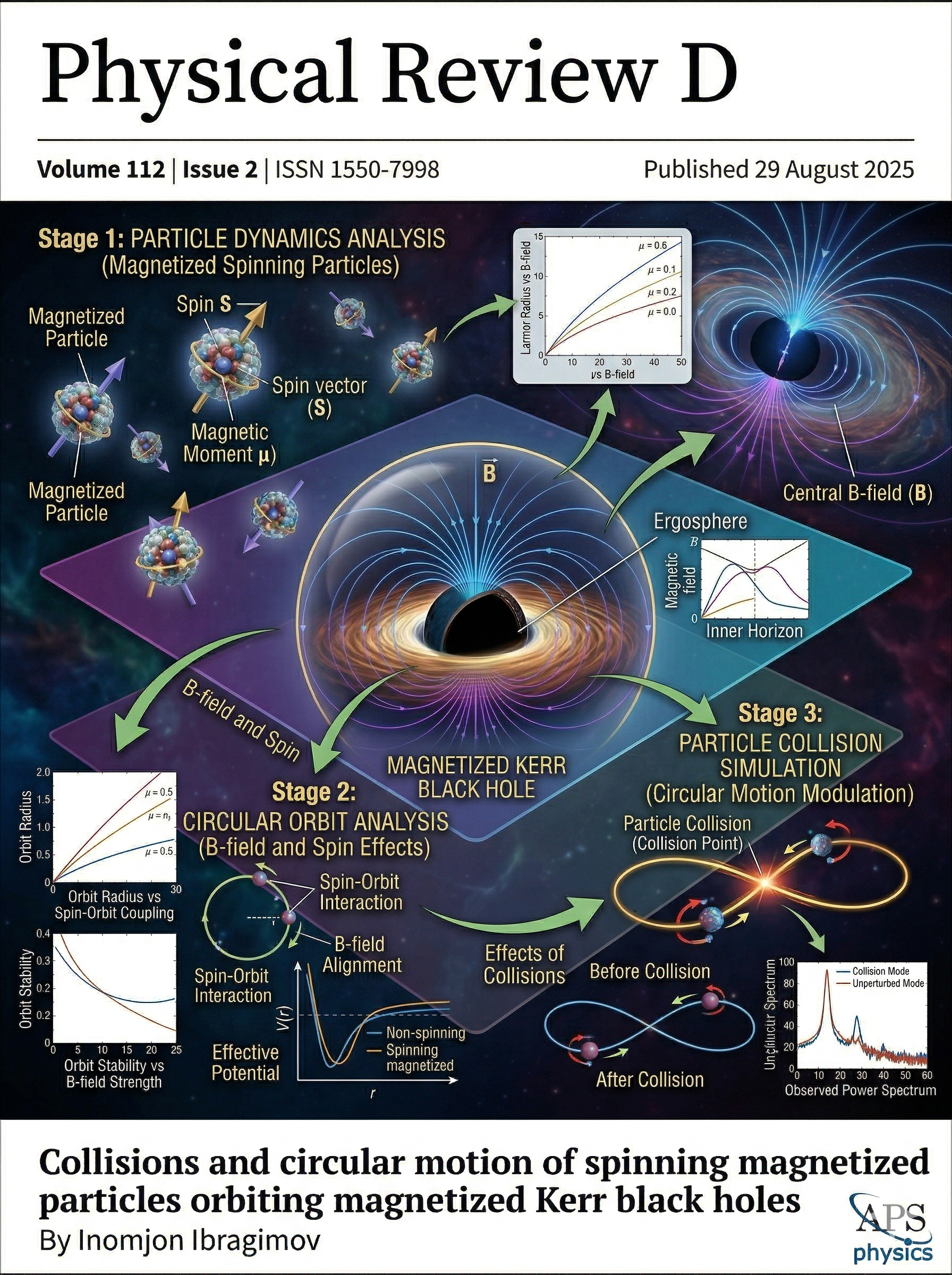 Collisions and circular motion of spinning magnetized particles orbiting magnetized Kerr black holes