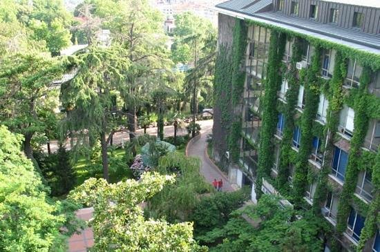 the Yildiz Technical University in Turkey the Yildiz Technical University in Turkey