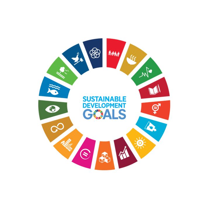 SDG Logo